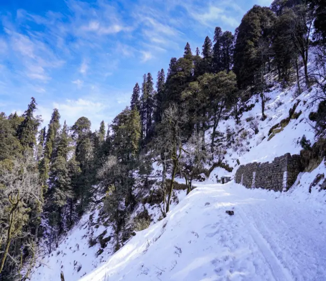 Narkanda, Himachal
