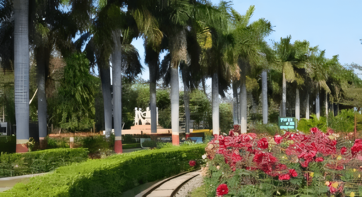 Best Places to Visit in Singrauli, Madhya Pradesh - Paramtrip