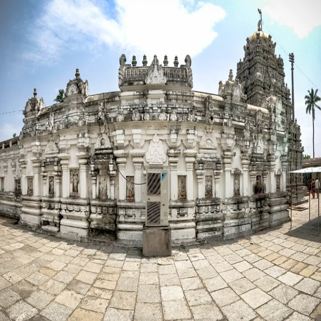 Sri Kurmanatha Swamy Temple (Srikurmam)